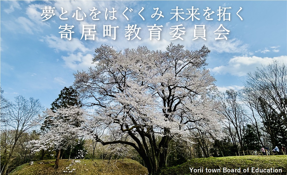 氏邦桜