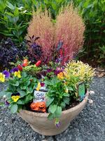 ハロウィンの寄せ植え