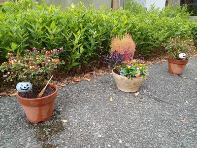 ハロウィンの寄せ植え